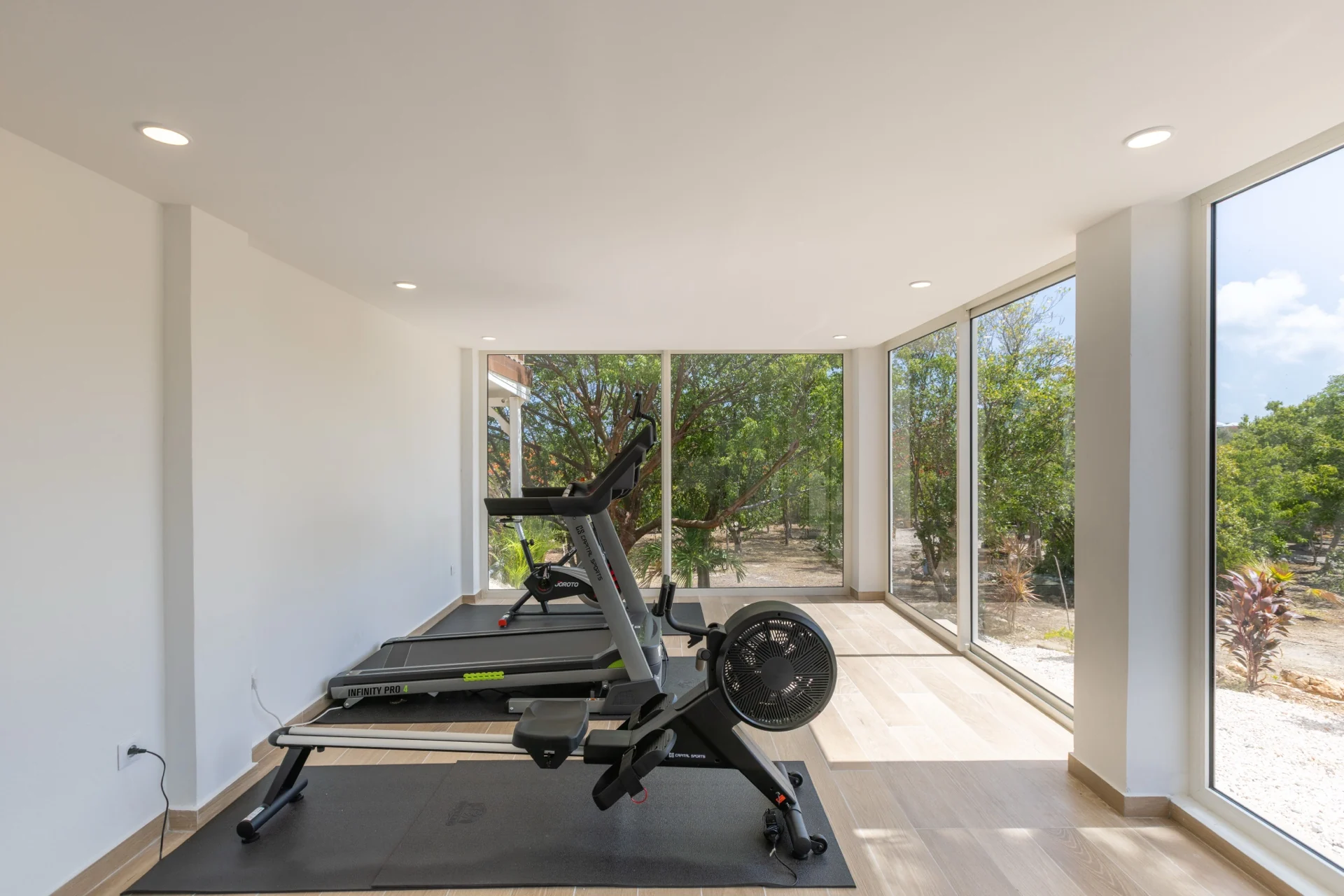 Private fitness room at Villa Les Oliviers with a treadmill, rowing machine and garden-facing windows